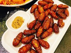 干炸蚕蛹-杨记齐齐哈尔烤肉(总店)