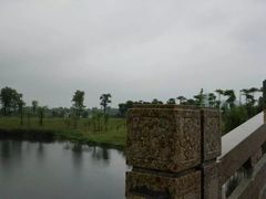 -眉山湿地公园(东坡区)