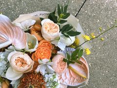 -花生FM_FLOWERS