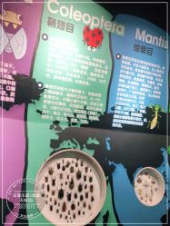 点击看大图 -七巧国萌宠乐园(龙湖天街店)