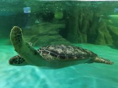 -常州海昌海洋探索馆