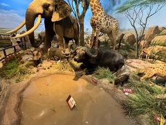 -陕西自然博物馆