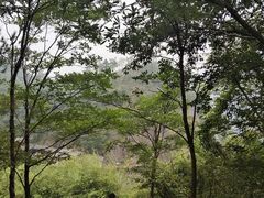 -大慈岩风景区