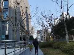 -陆家嘴世纪金融广场