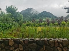 -王顺山国家森林公园