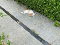 -中关村生命科学园