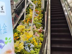 -凯德MALL(望京店)