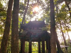 -都江堰普照寺