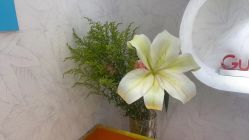 -梵茜儿·头道汤养生馆