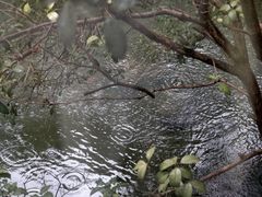 -雪霁山庄·合肥地标老字号