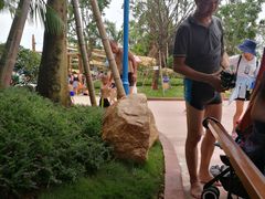 -美的鹭湖探索王国