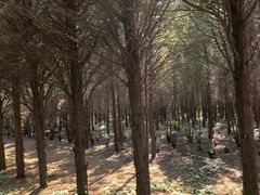 -秦始皇帝陵博物院-丽山园