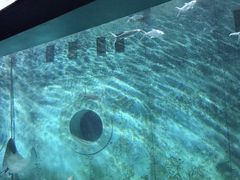 -大连圣亚海洋世界