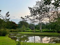 -中国科学院西双版纳热带植物园