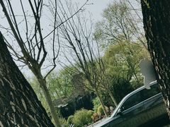 -秦皇岛野生动物园