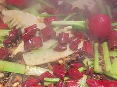 -老板恋上鱼(恒隆广场店)