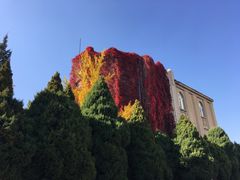 -辽宁大学(崇山校区)