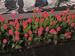 -大食代美食广场(上海中心店)