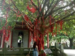 -南沙天后宫景区
