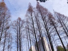 景点-金山公园