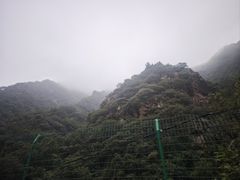 -都江堰石锅鱼