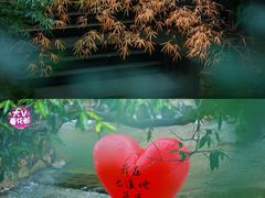 -世间香境·七溪地