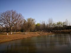 -西安浐灞国家湿地公园