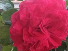 -湘邻呷铺·田园家宴(汉基广场店)