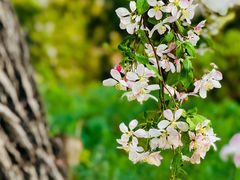 -元大都城垣遗址公园