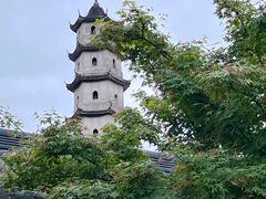 -江心屿景区