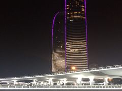 -演武大桥观景平台