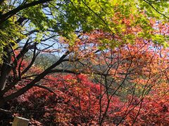 -崂山巨峰游览区