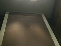 -上海柏悦酒店