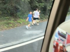-句容茅山景区
