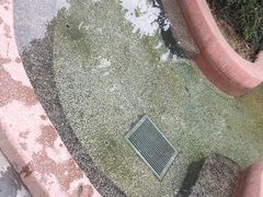 -咸宁万豪温泉谷度假区