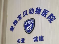 -中农大我爱我爱24h动物医院·中医针灸·猫专科·骨科医疗中心(双井店)