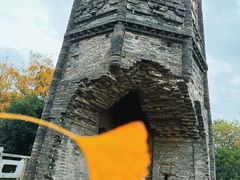 -上海佘山国家森林公园天马山园