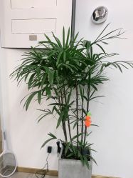-爱秀造型 T-G