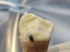 -CORNER CONE GELATO酷矿手作霜淇淋(南头古城店)
