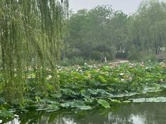 -南翠屏公园