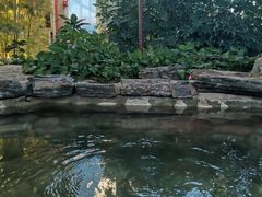 -中家鑫园温泉酒店鑫悦汤泉