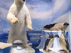 -国家自然博物馆