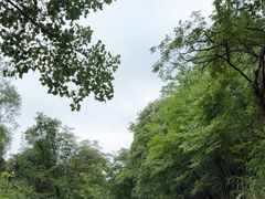 -窦圌山风景区