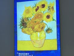 -南昌梵高星空艺术馆