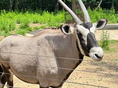 -大连森林动物园