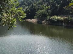 -梧桐山风景名胜区