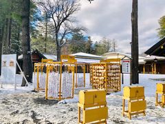 -北海道神宫