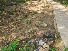 -火炉山森林公园