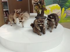 -陕西自然博物馆