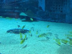 -北京海洋馆